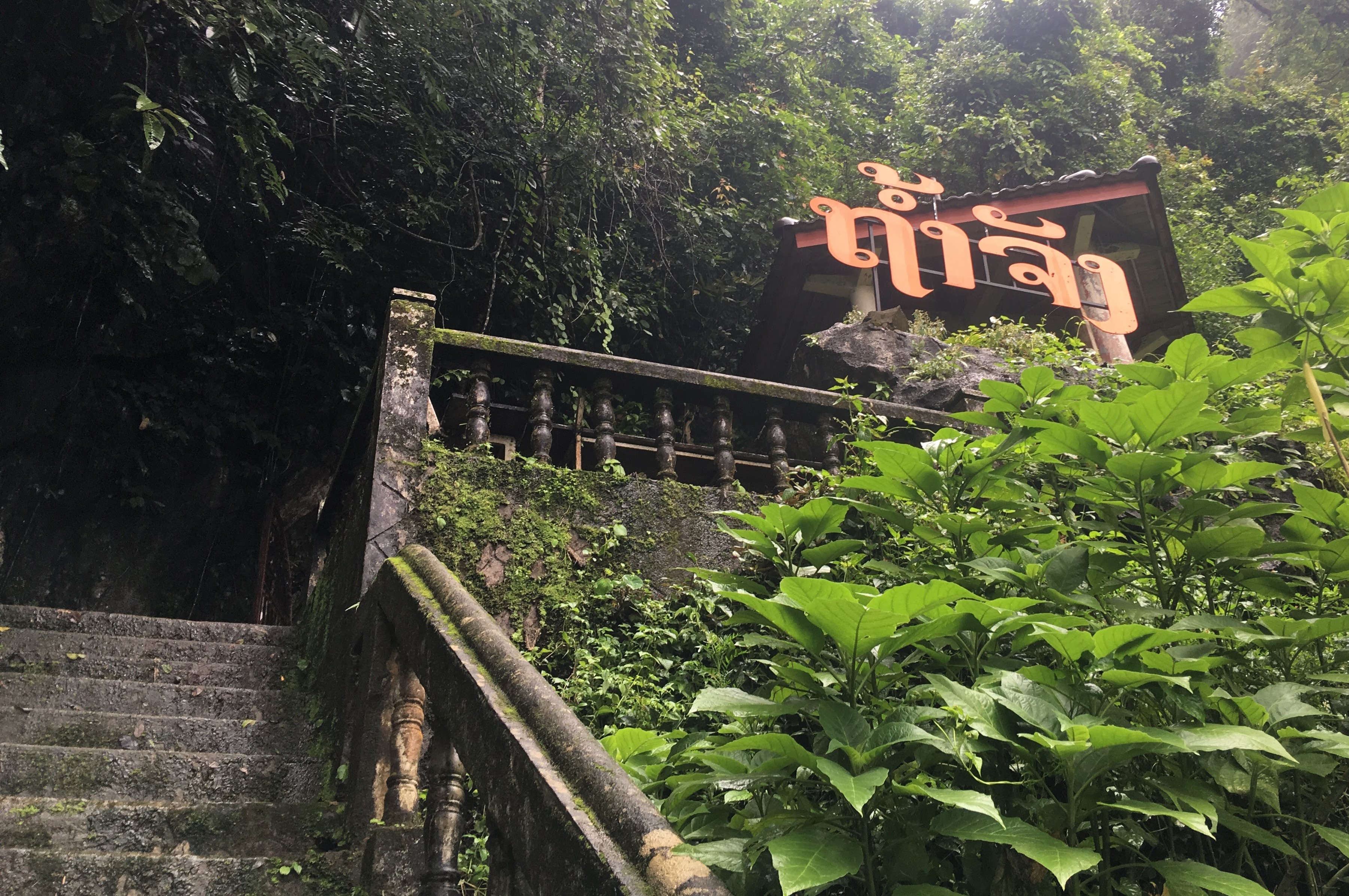 Which Vang Vieng Half-Day Trip Fits You? Tham Chang, Blue Lagoon or Kaeng Nyui