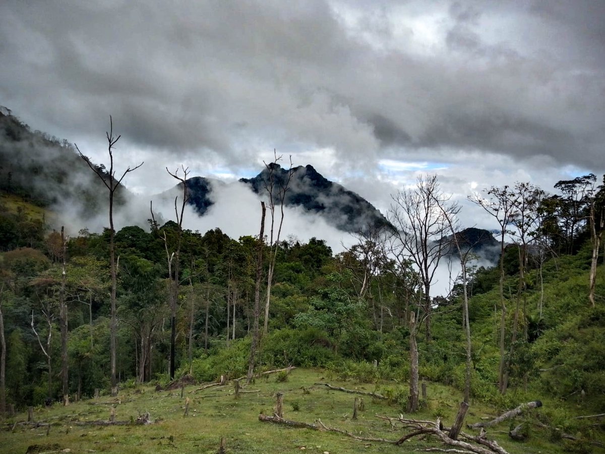 Lost Valley Trekking in Vang Vieng: Full-Day & 2-Day Summit Expedition (2026 Guide)
